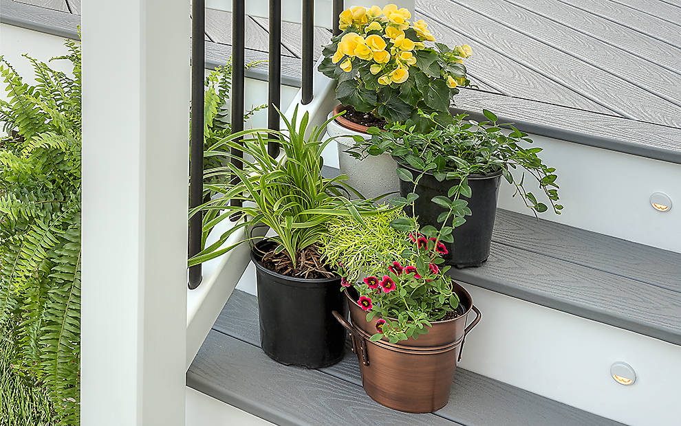 Alexander Fine Design Construction Images